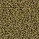 Miyuki rocailles Perlen 11/0 - Matted opaque luster golden olive 11-2032 